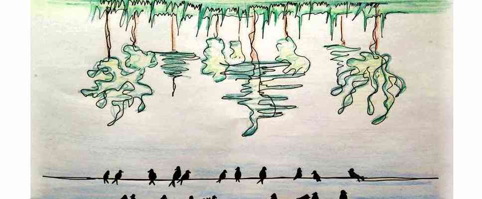 İçerik Resmi İçerik Resmi