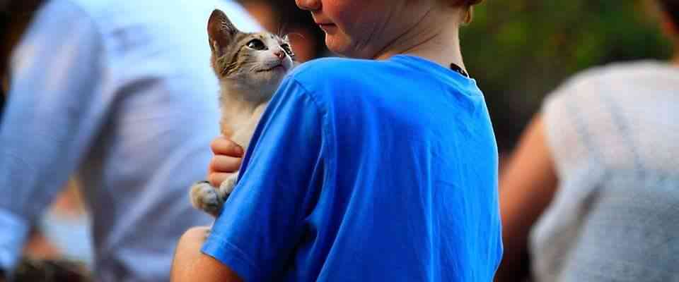 İçerik Resmi İçerik Resmi